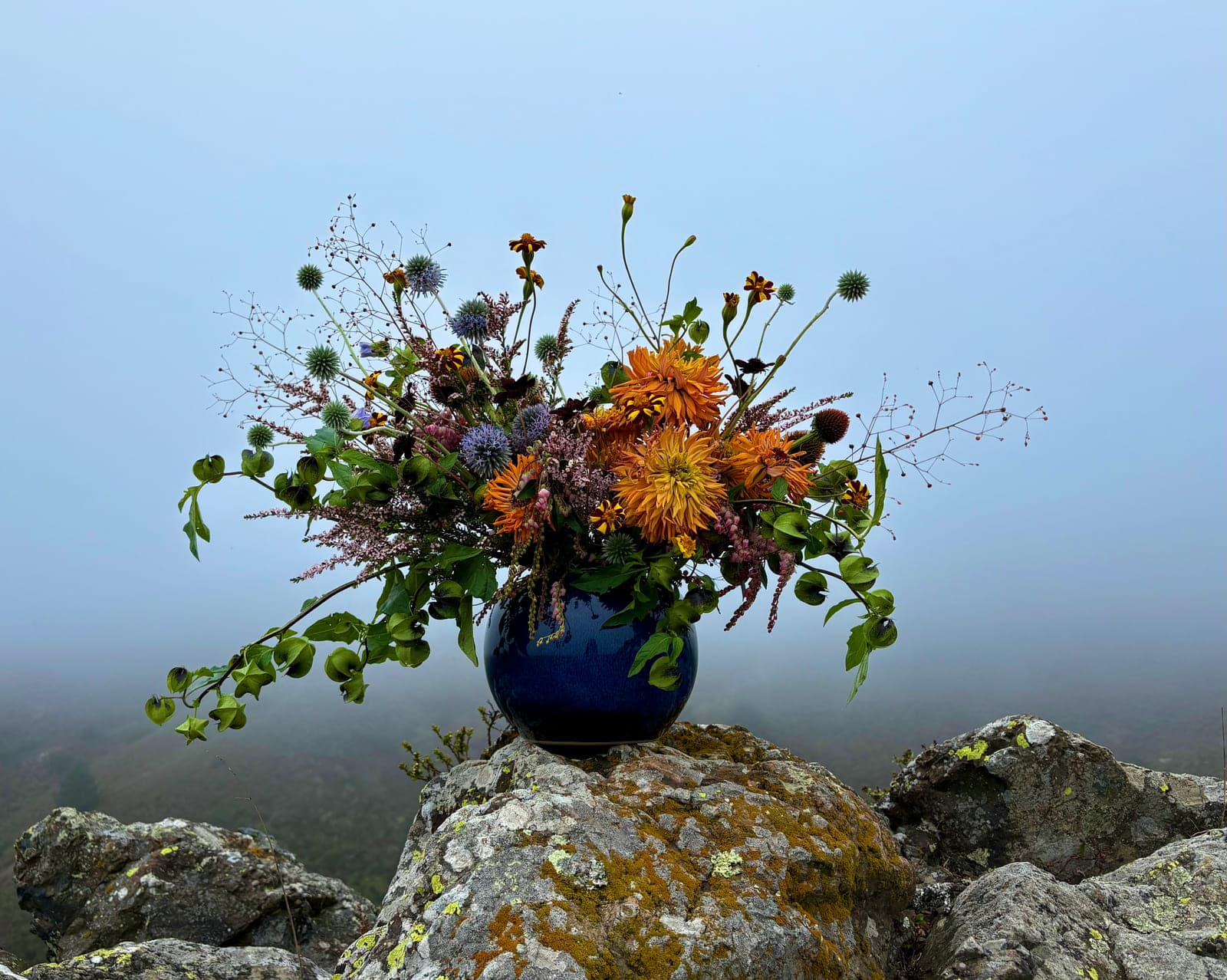 Orange dahlias and globe thistle in a cobalt vase, set on lichen-covered rock above the fog