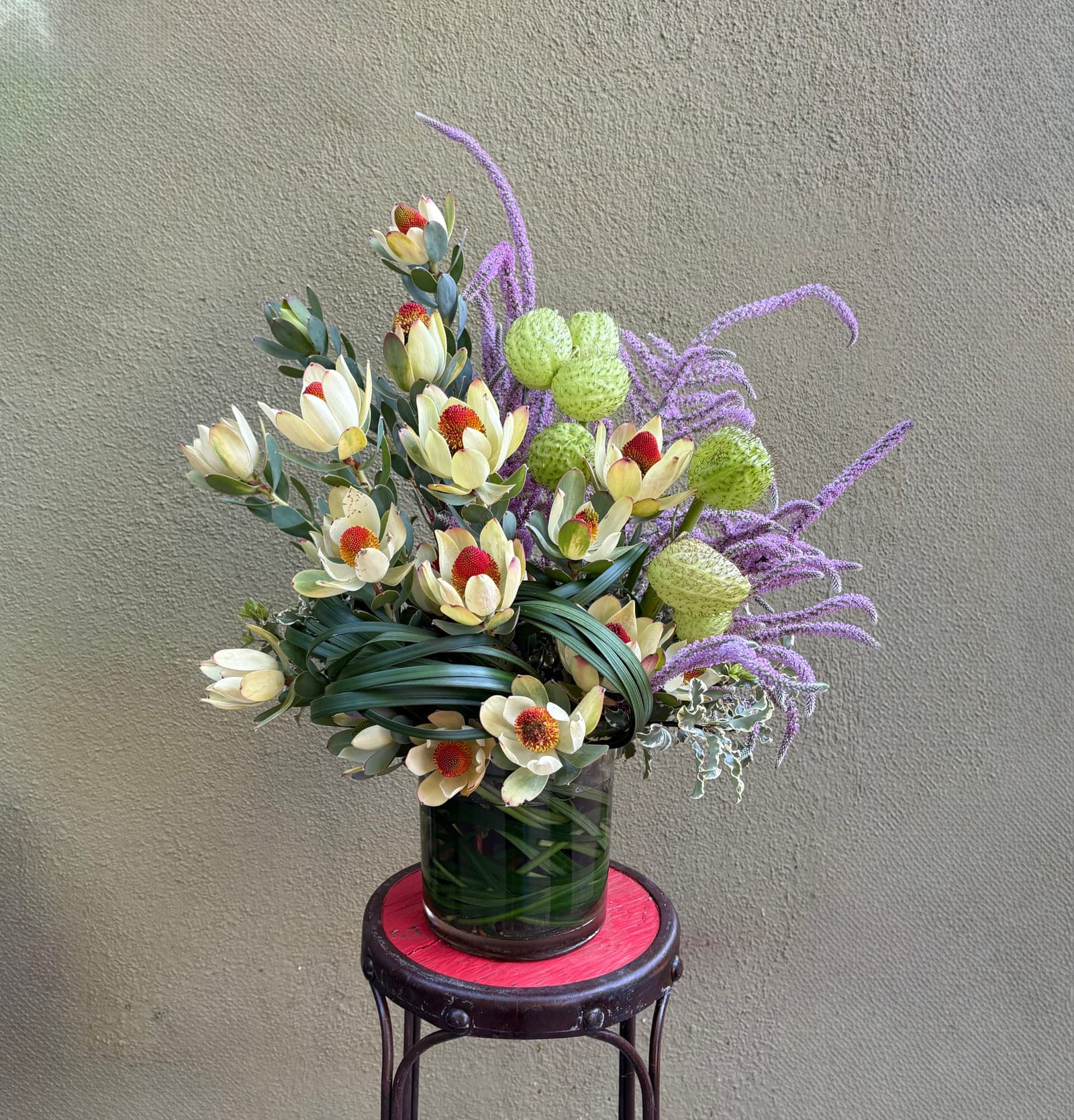Leucadendron, blushing bride protea and purple amaranthus on a red lacquered stool
