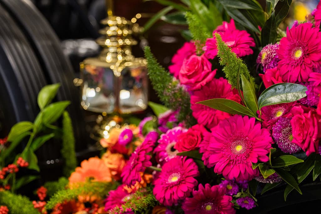 Magenta gerbera daisies and roses massed along a parade float