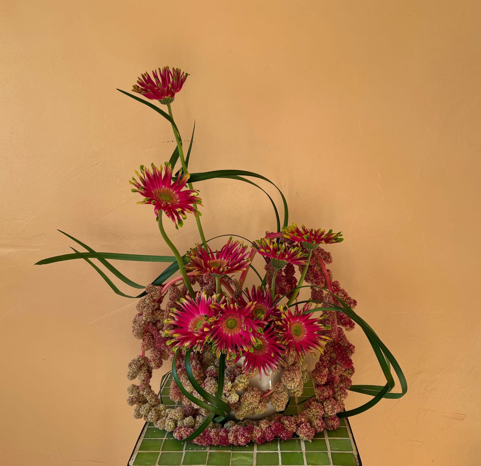 Pink cactus dahlias and looping lily grass against a warm plaster wall